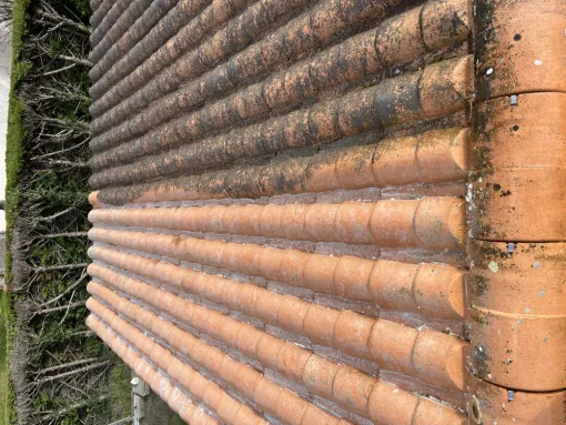 Nettoyage et demoussage 